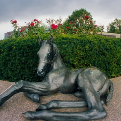 Lexington in early summer